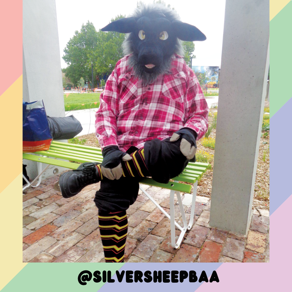 Rubber Pride Sockies