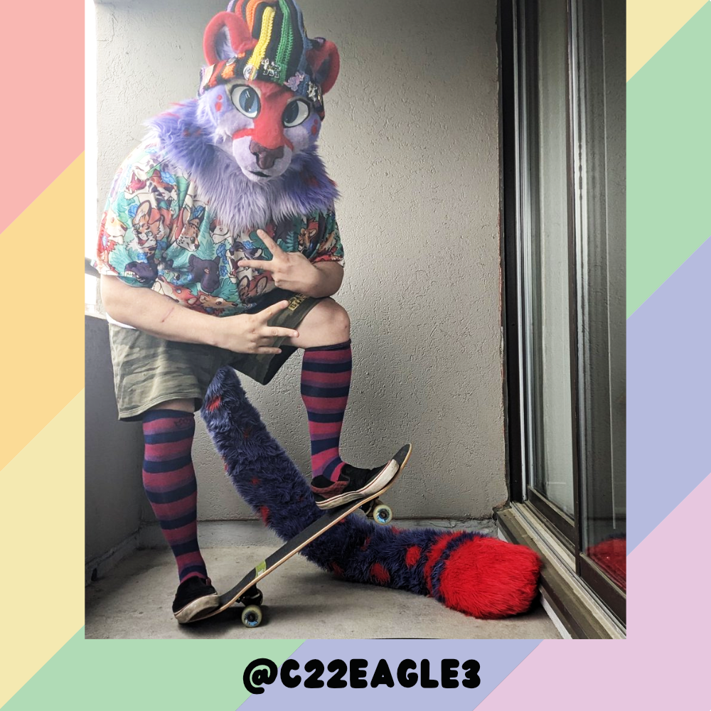 Bi Pride Sockies