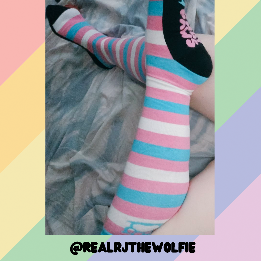 Trans Pride Sockies