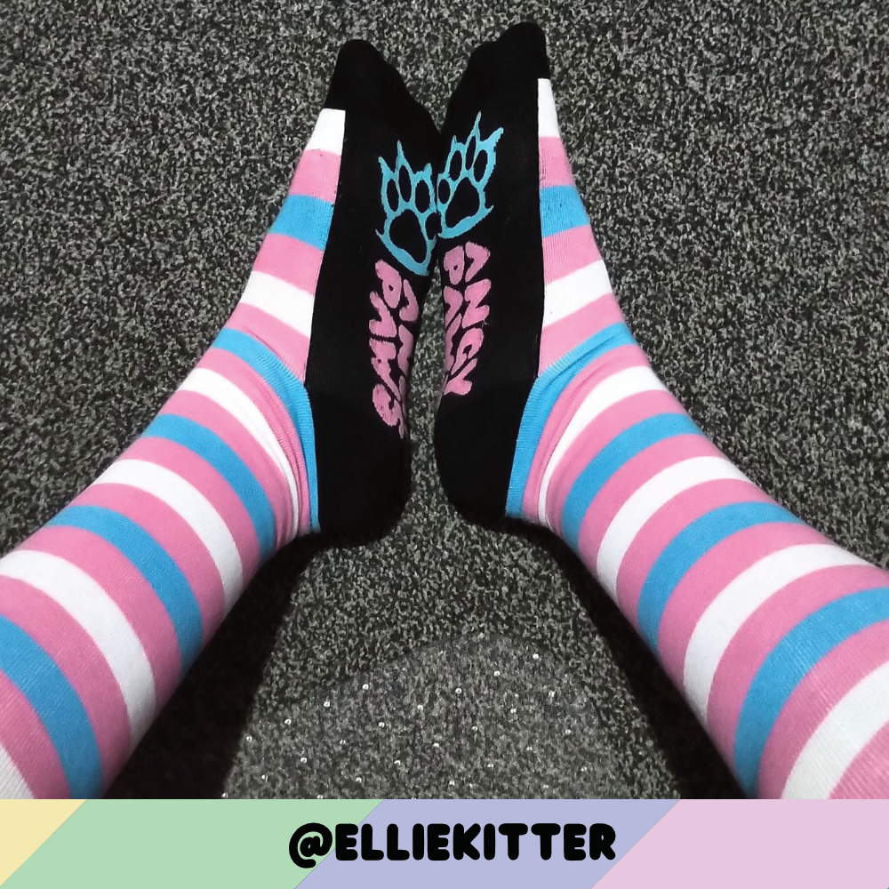 Trans Pride Sockies