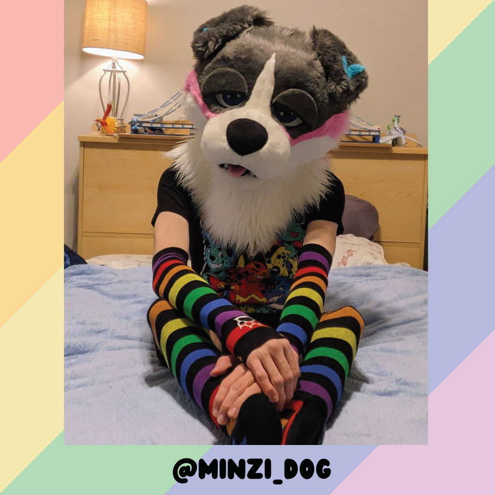 Rainbow vs Black Sockies