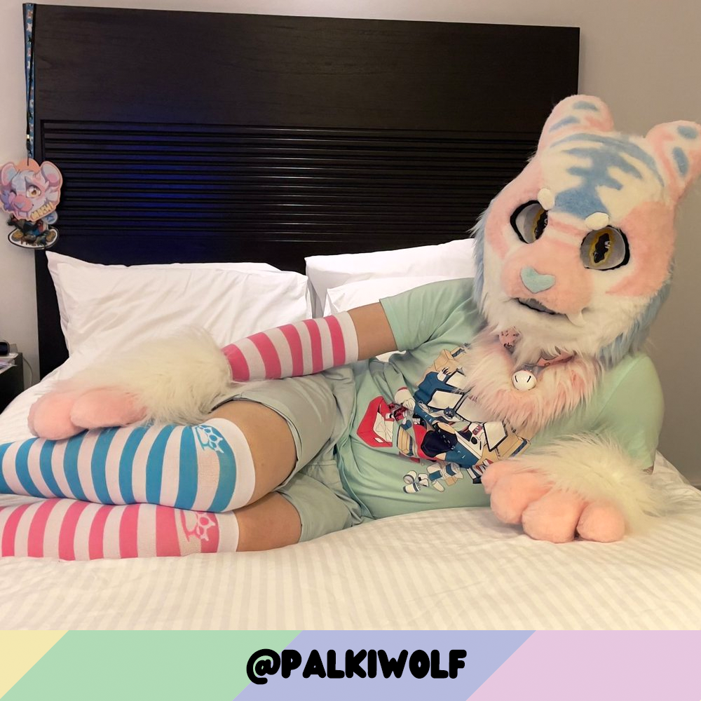 Light Pink vs White Sockies