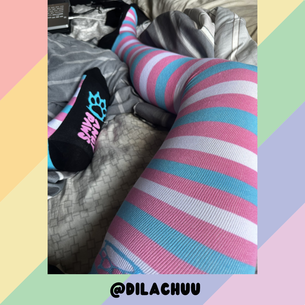 Trans Pride Thigh High Sockies (old version)