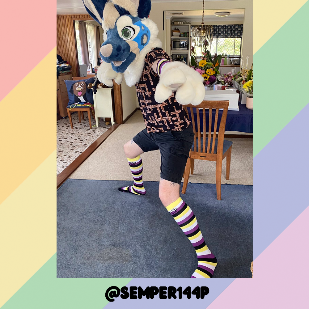 Enby Pride Sockies