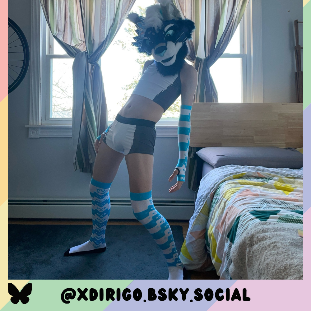 Light Blue Angy Cat Stak Sockies
