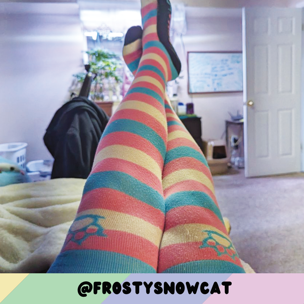 Trans Pride Sockies