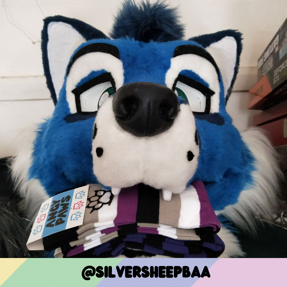 Ace Pride Sockies