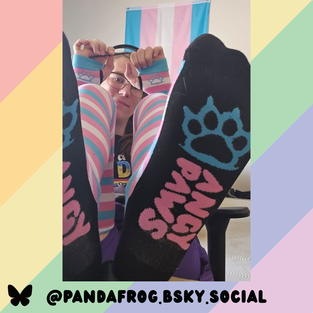 Trans Pride Sockies