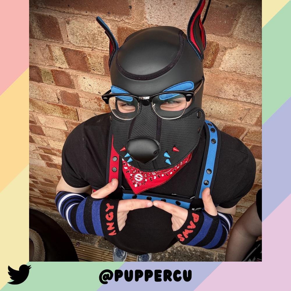 Pup Pride Arm Warmers