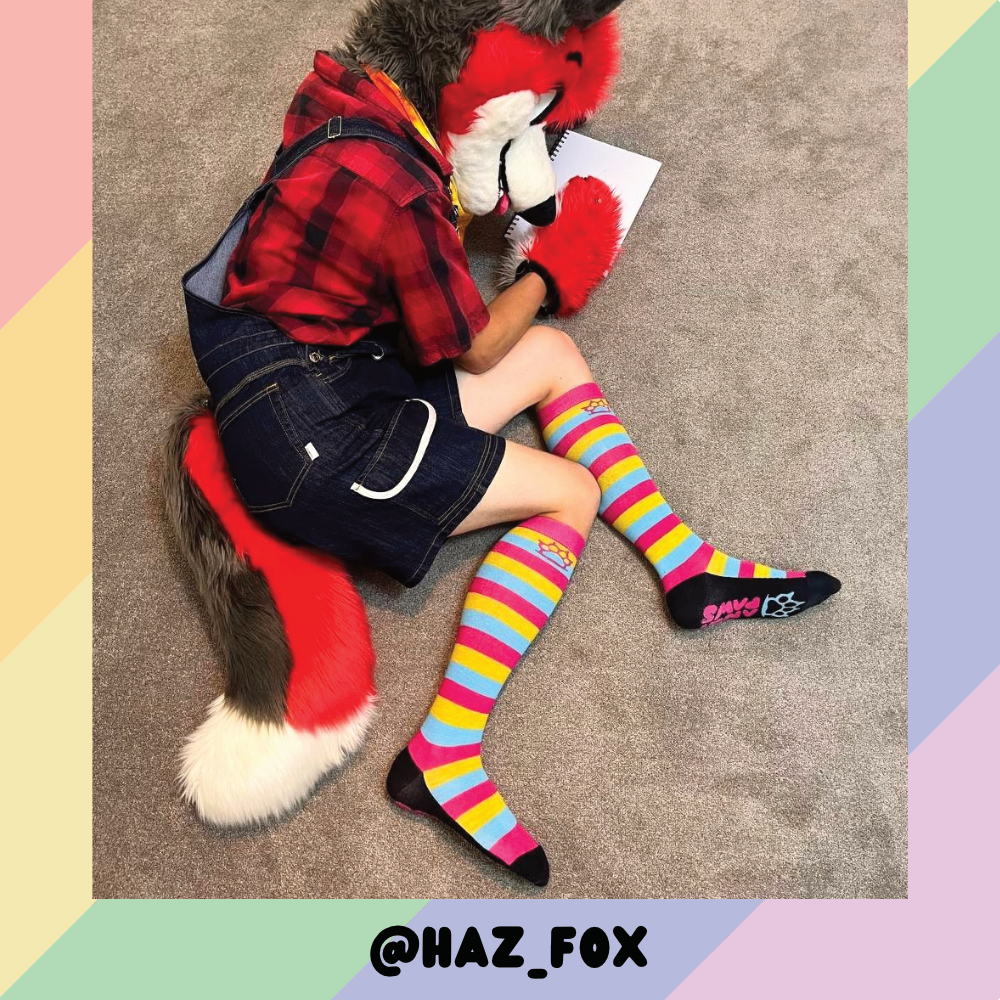 Pan Pride Sockies
