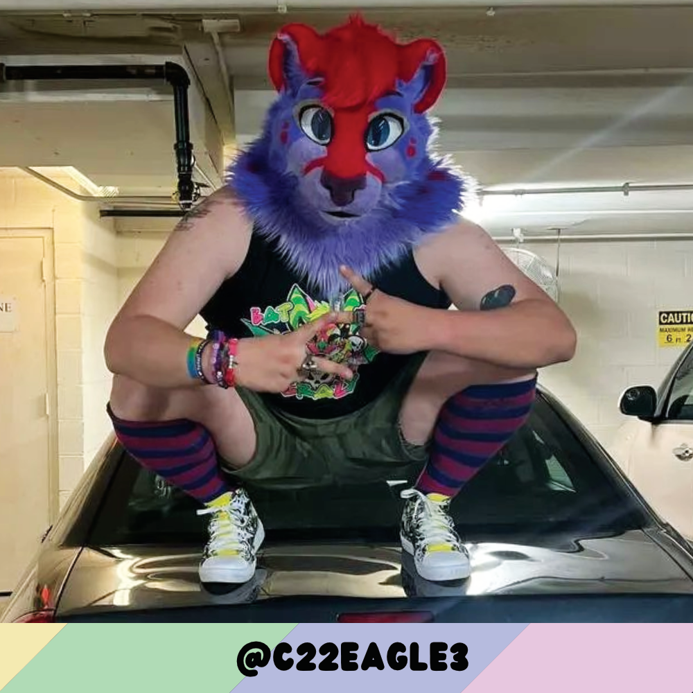 Bi Pride Sockies