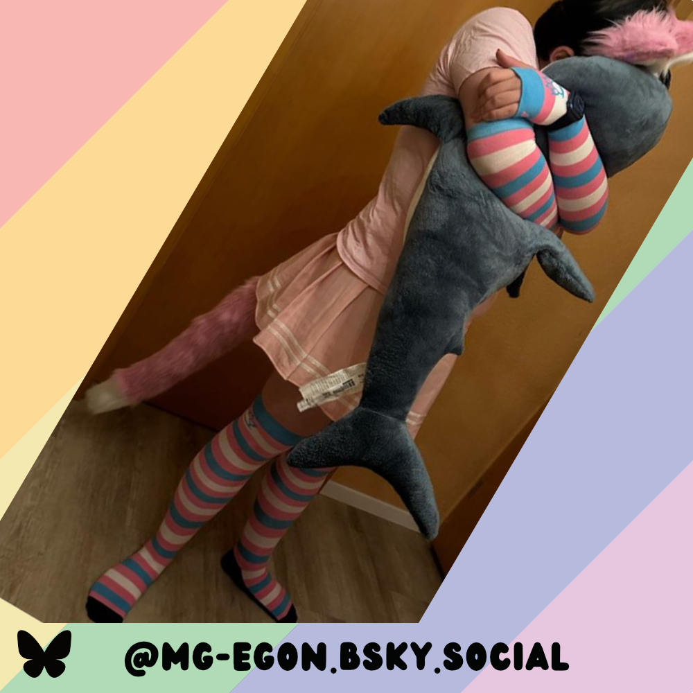 Trans Pride Sockies