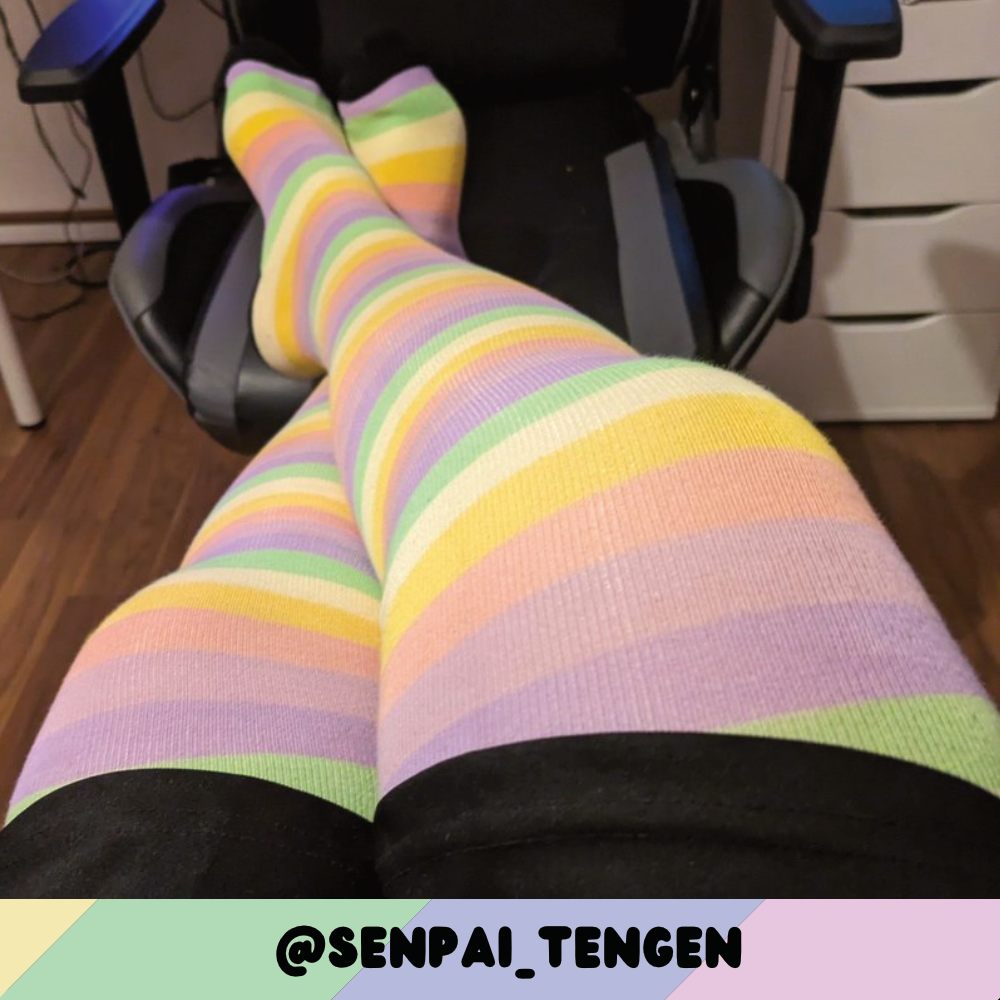 Pastel Rainbow Slim Thigh High Sockies