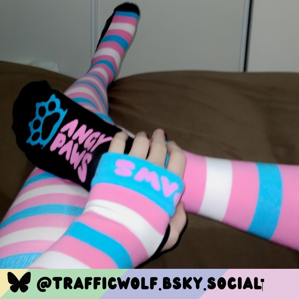Trans Pride Arm Warmers