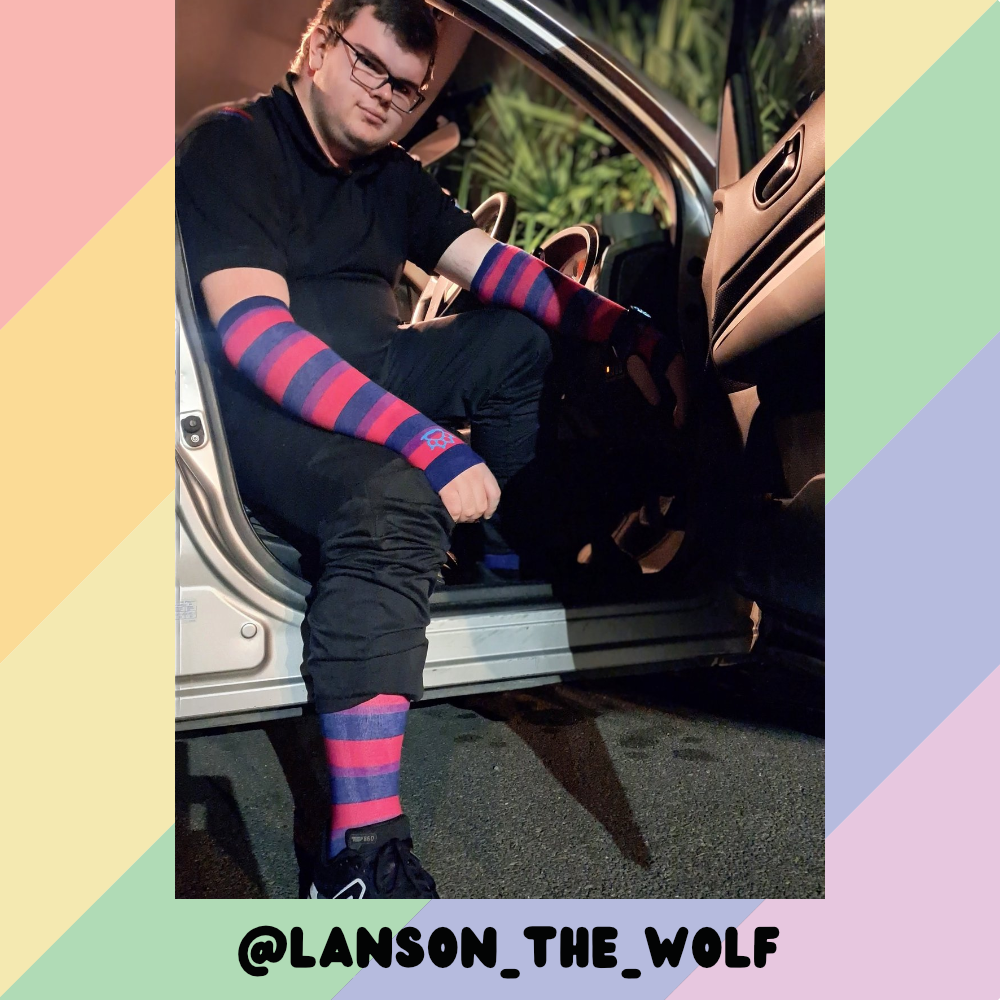 Bi Pride Arm Warmers