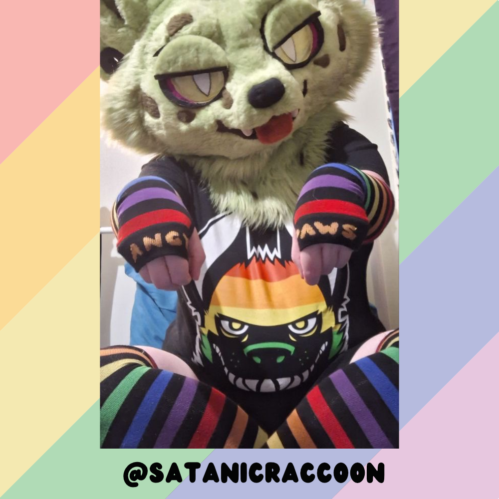 Rainbow vs Black Sockies