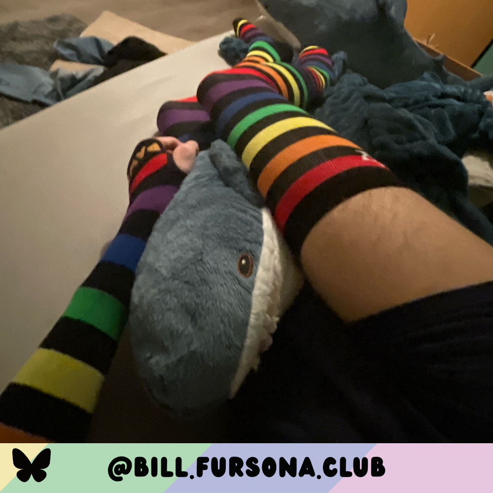 Rainbow vs Black Slim Thigh High Sockies