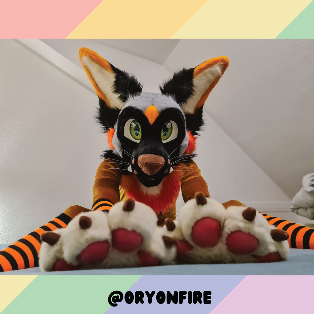 Neon Orange vs Black Sockies