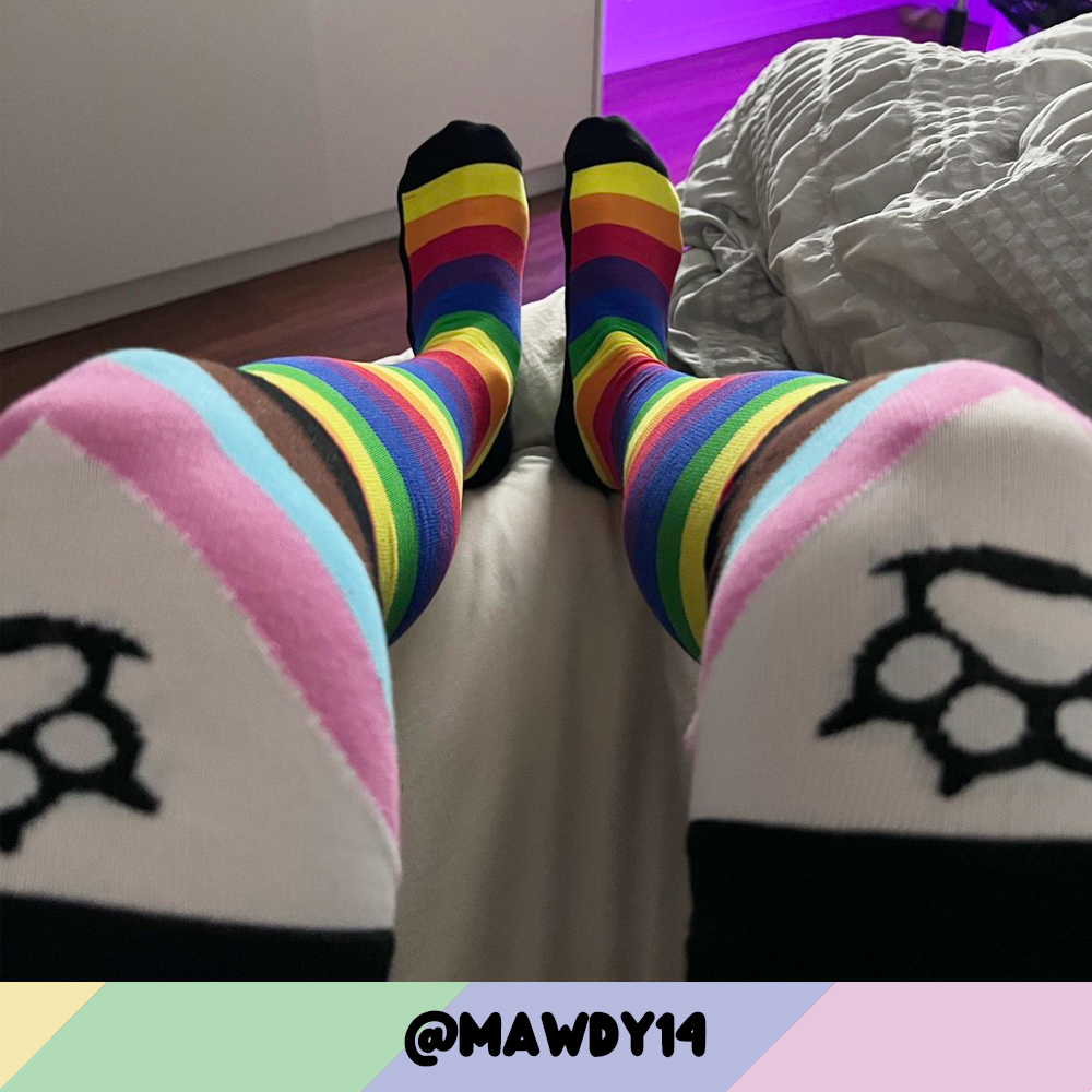 Progress Pride Sockies