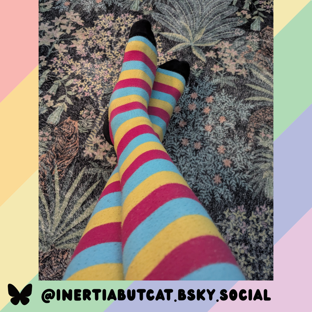 Pan Pride Sockies