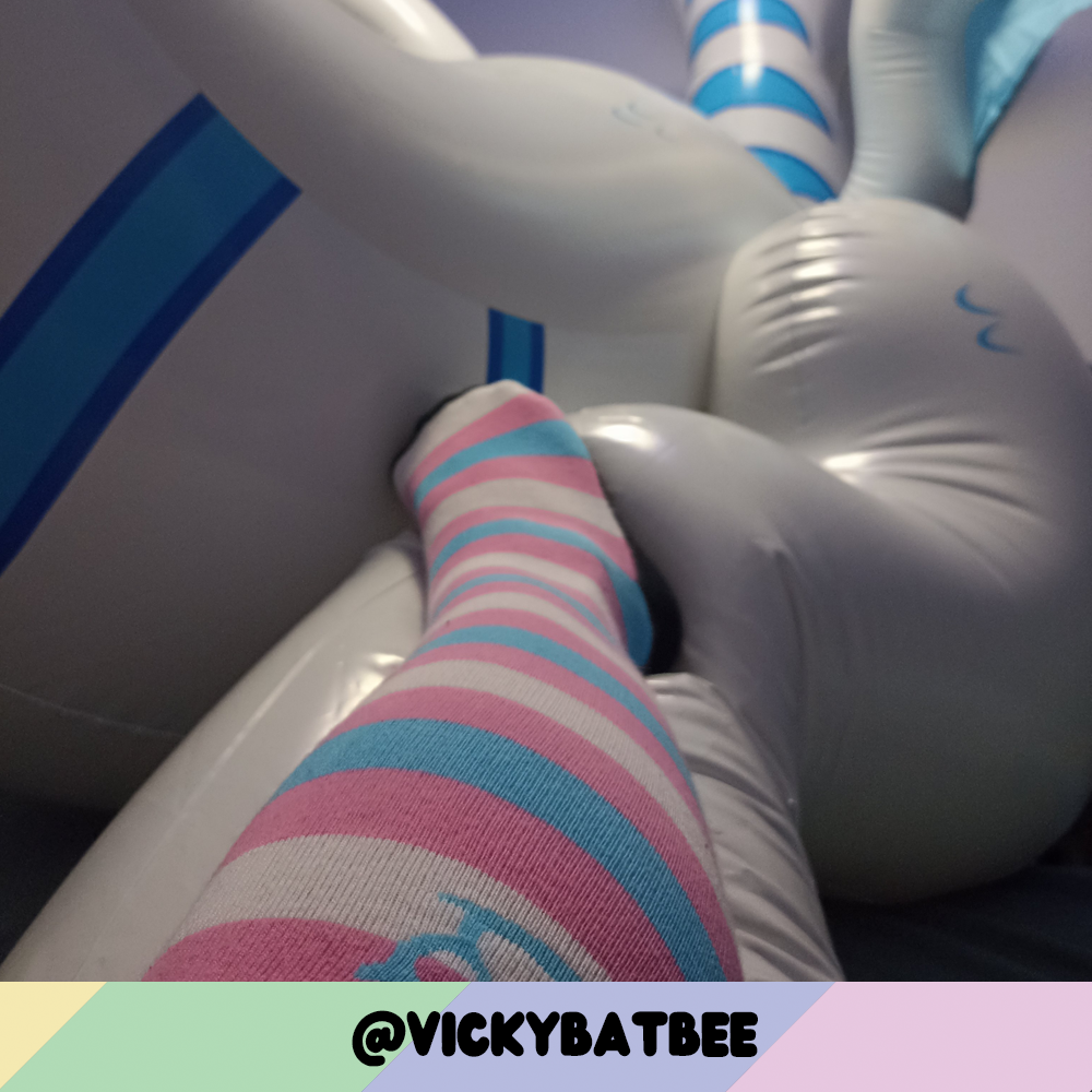 Trans Pride Sockies