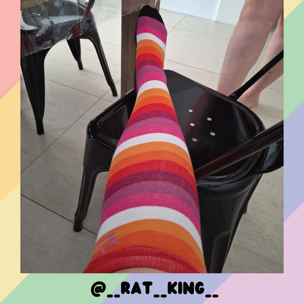 Lesbian Pride Sockies