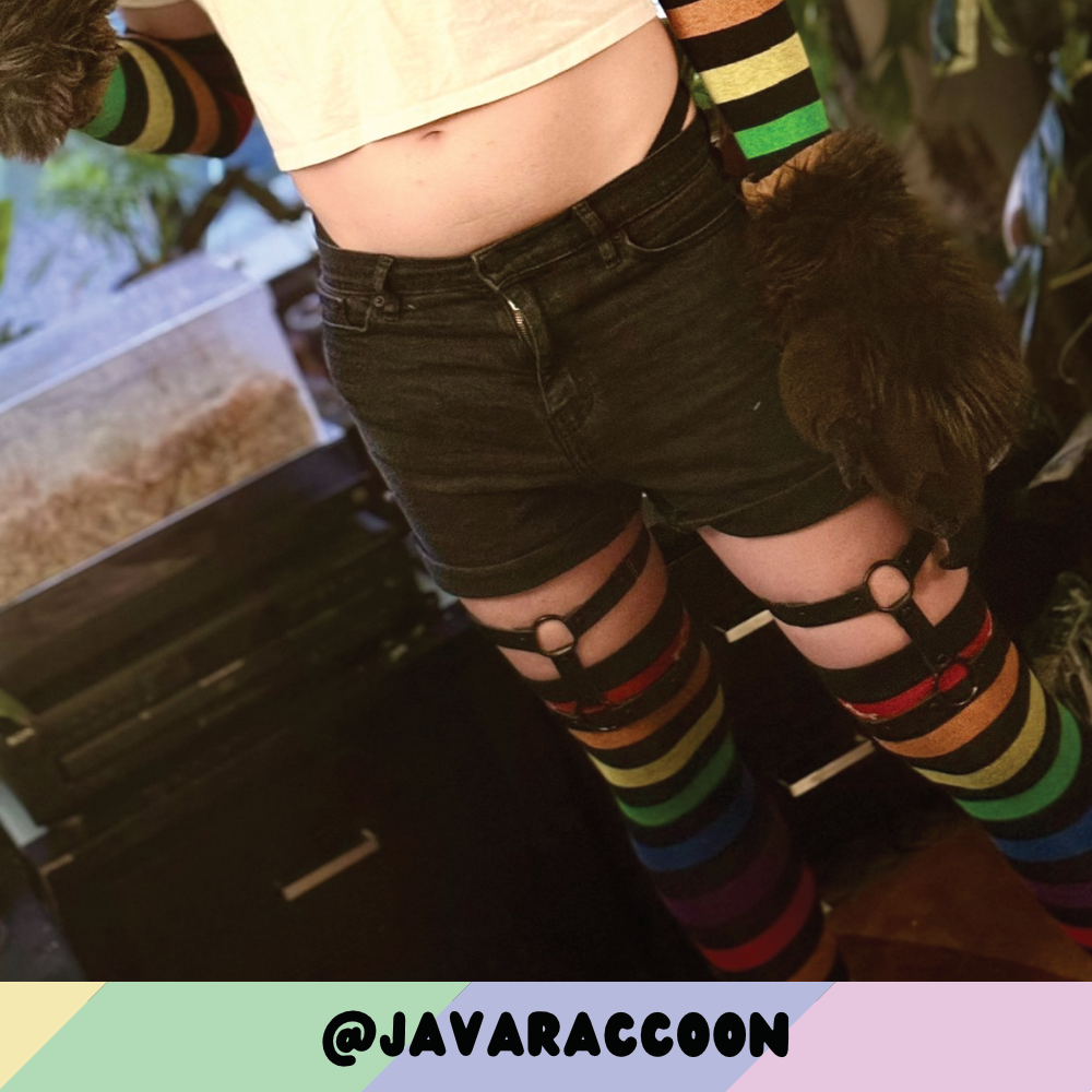 Rainbow vs Black Sockies