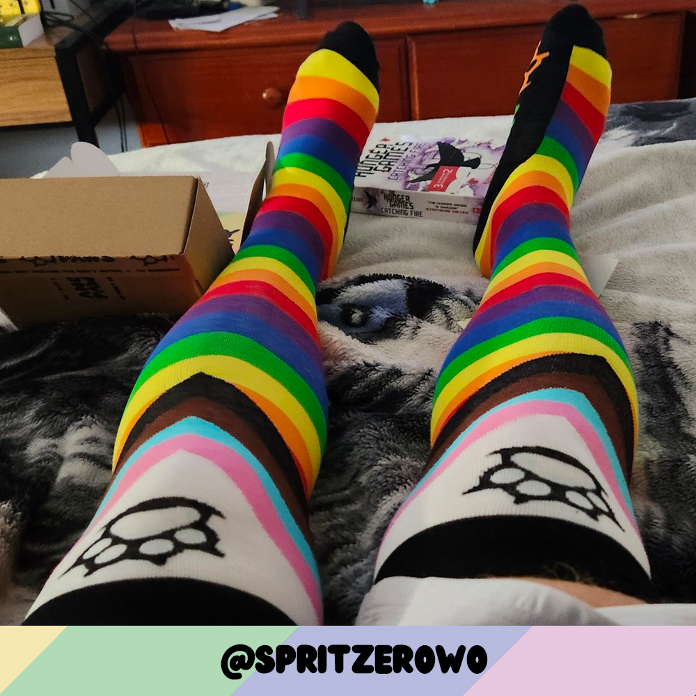 Progress Pride Sockies