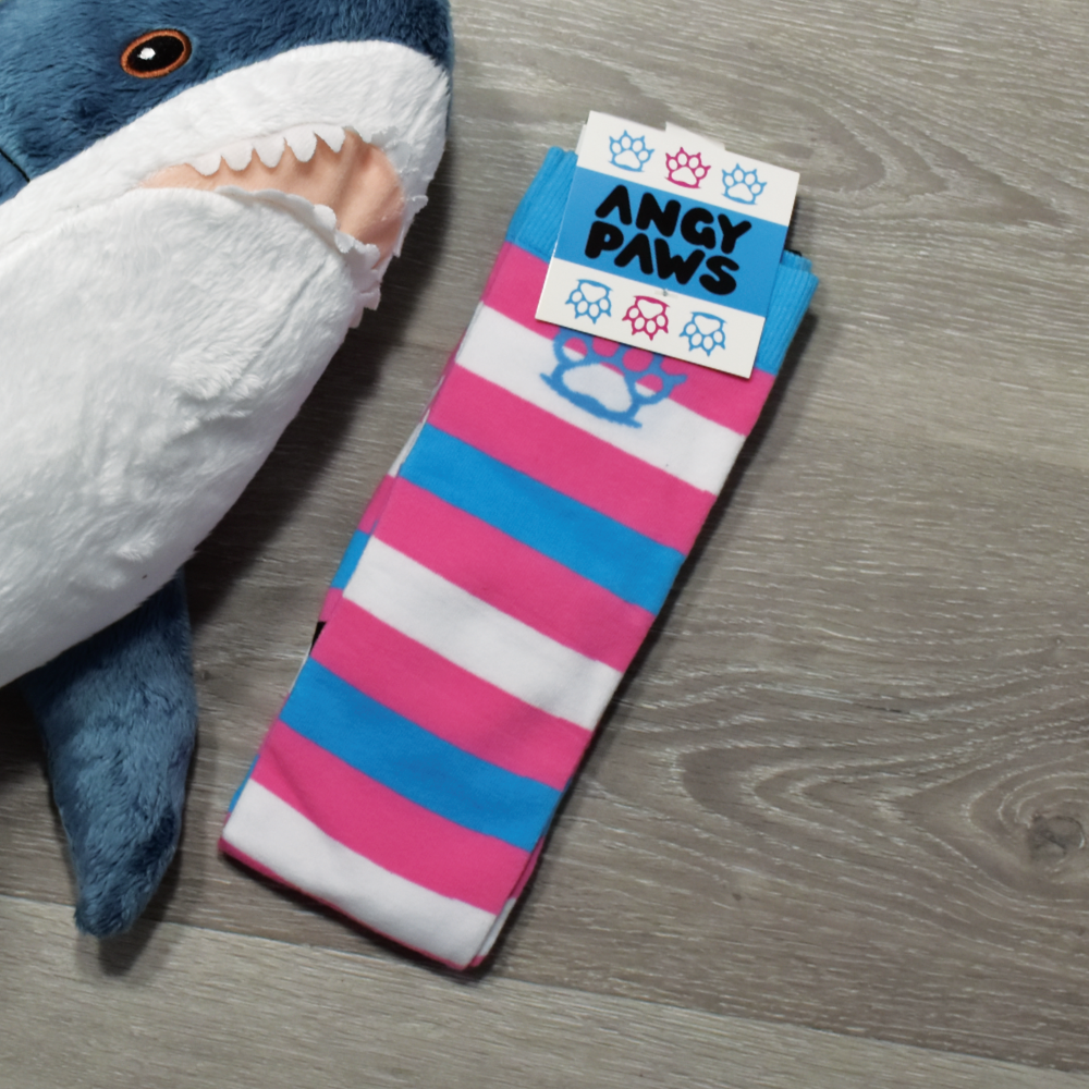 Trans Pride Sockies