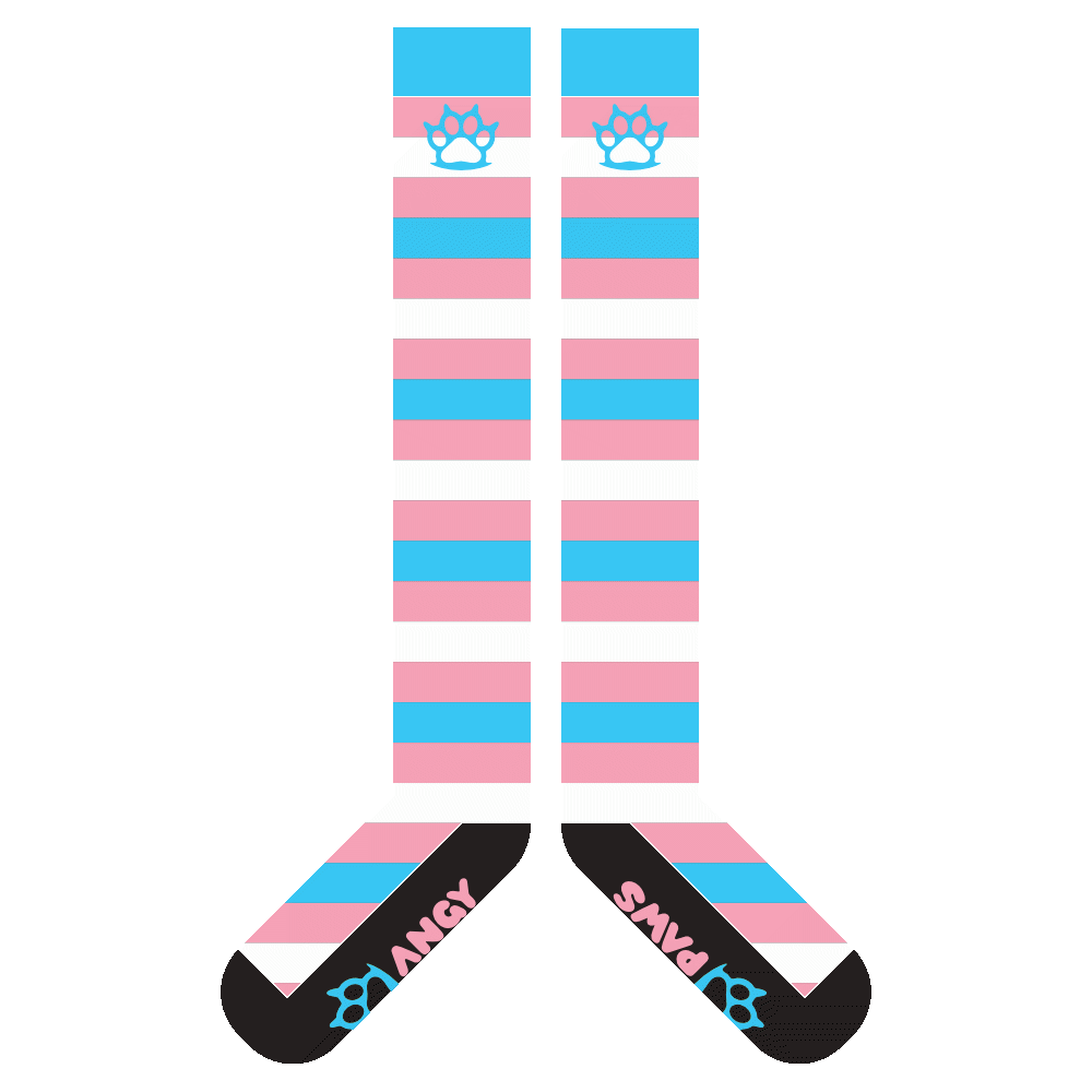 Trans Pride Sockies