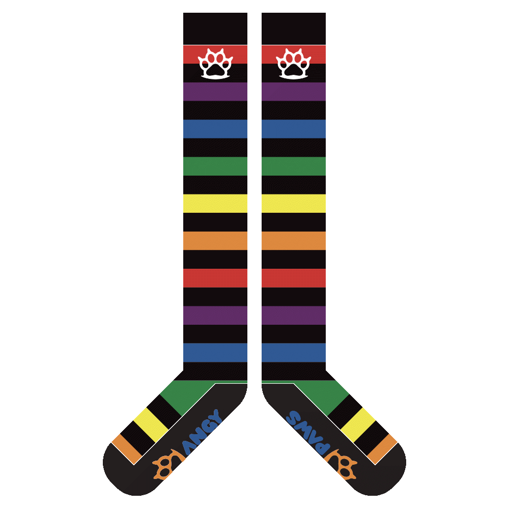 Rainbow vs Black Sockies