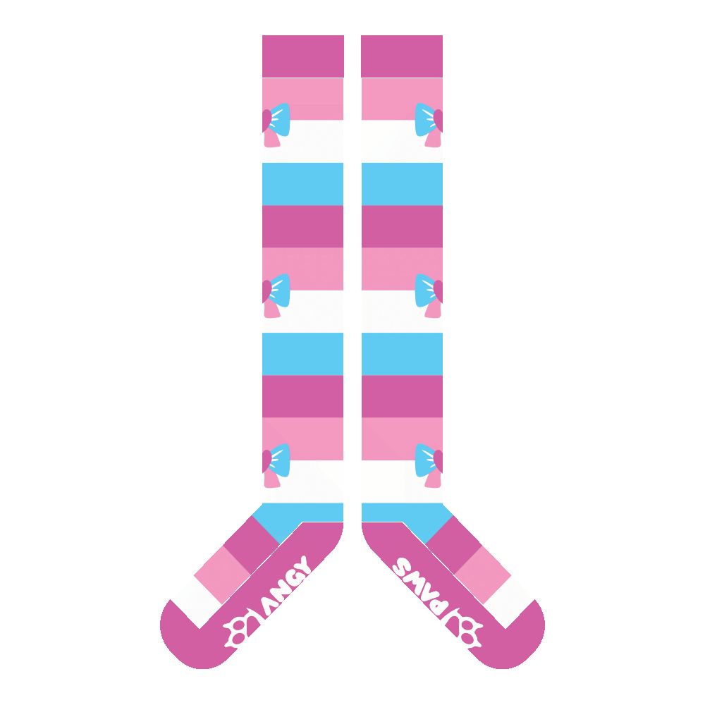 Femboy Pride Sockies