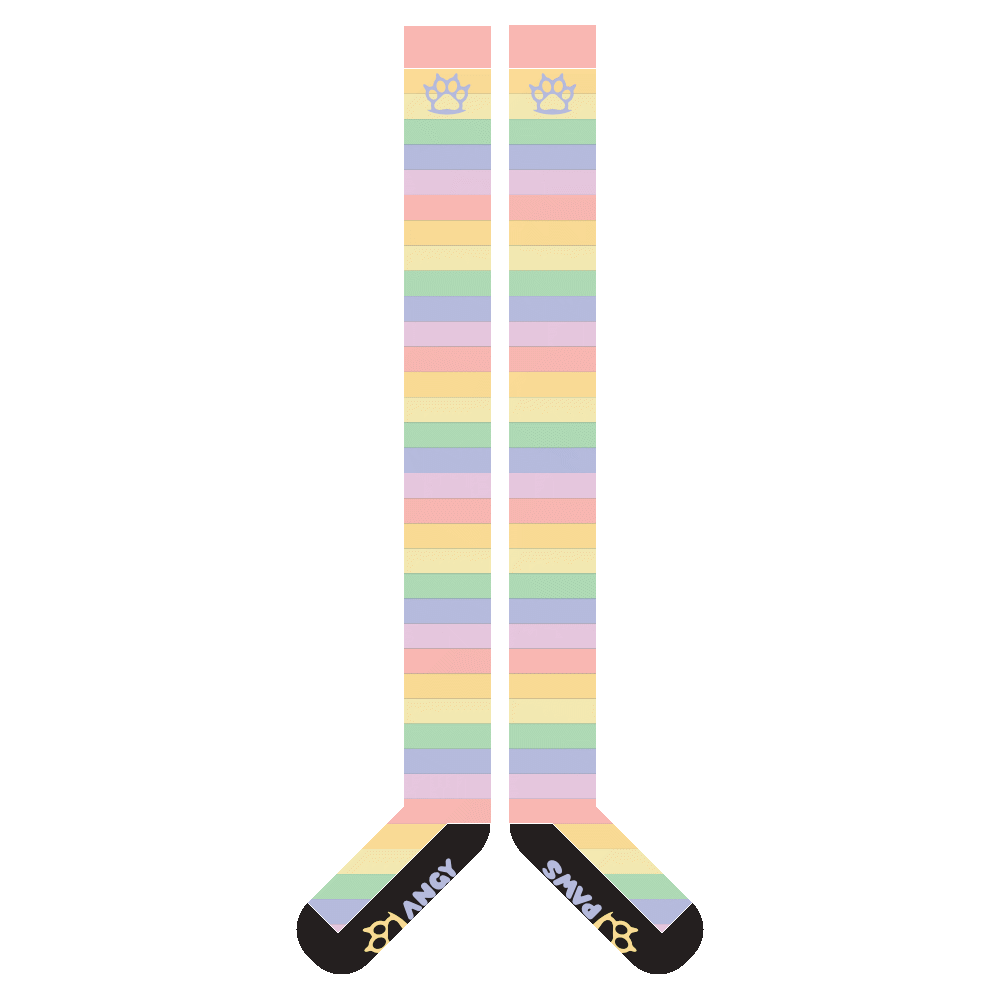 Pastel Rainbow Slim Thigh High Sockies