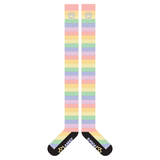 Pastel Rainbow Thigh High Sockies (old version)