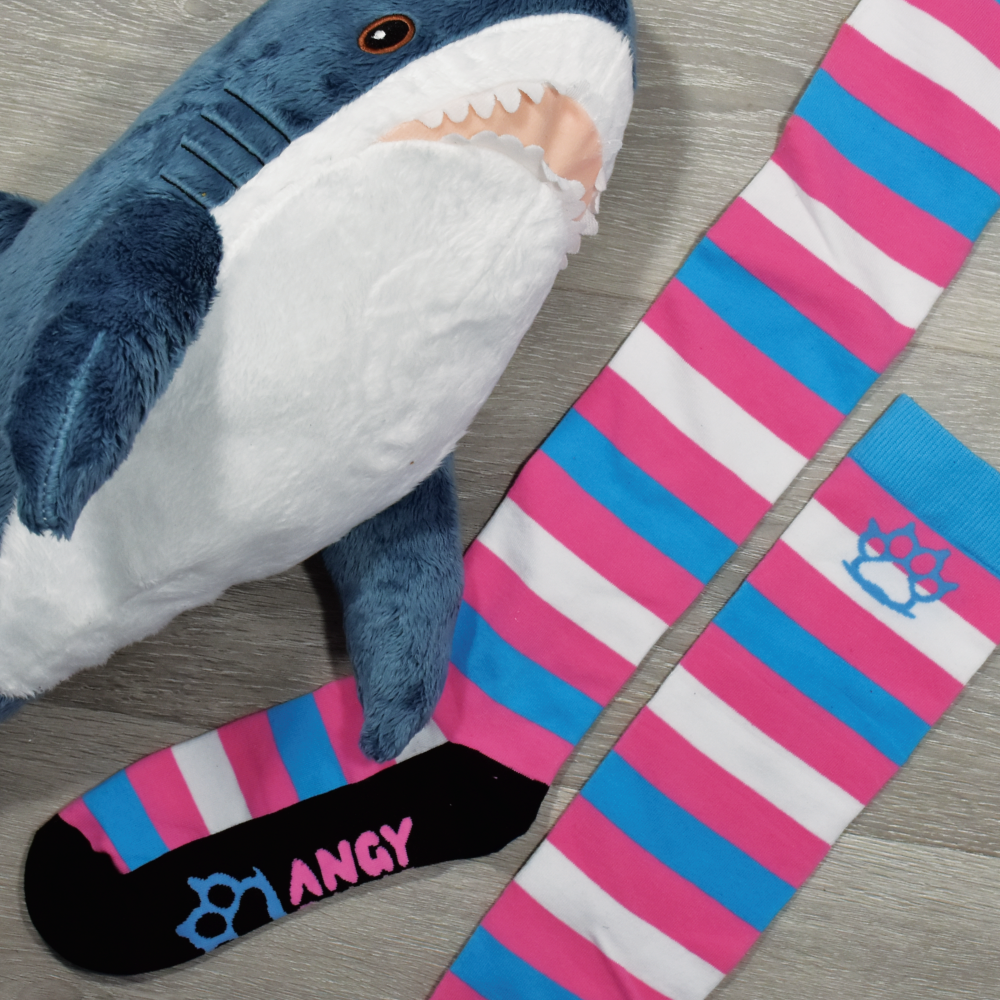Trans Pride Thigh High Sockies (old version)