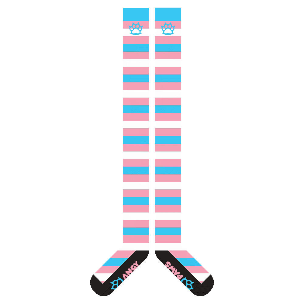 Trans Pride Thigh High Sockies (old version)