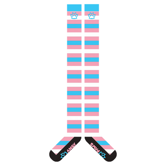 Trans Pride Thigh High Sockies (old version)