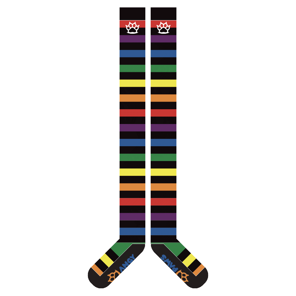 Rainbow vs Black Slim Thigh High Sockies