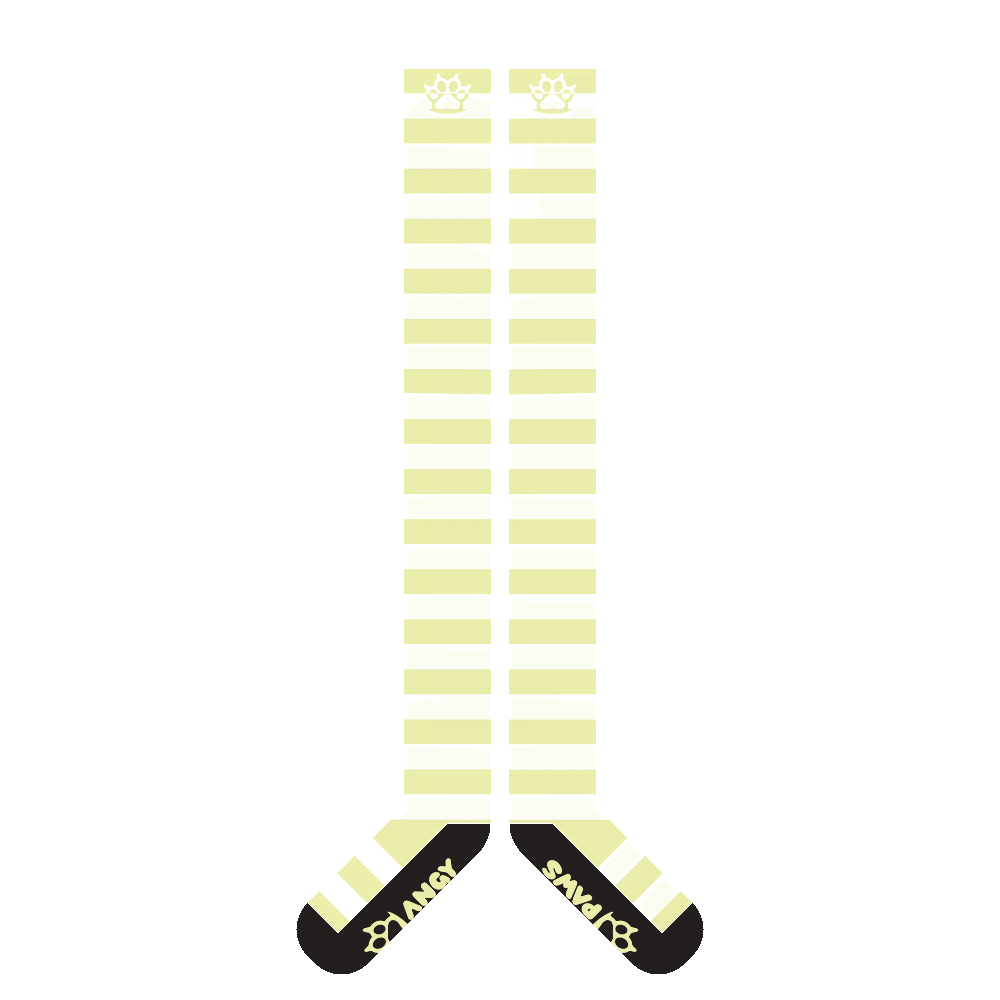 Pastel Green vs White Slim Thigh High Sockies