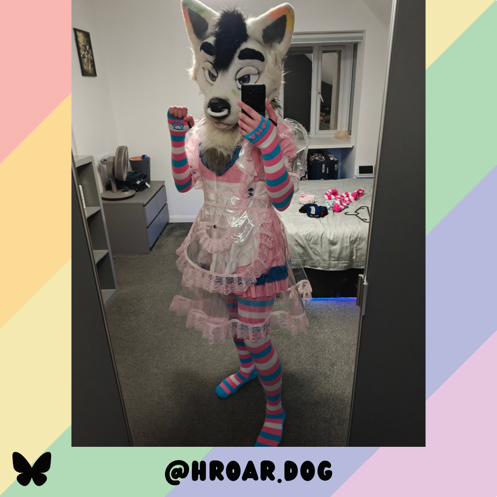 Trans Pride Thigh High Sockies