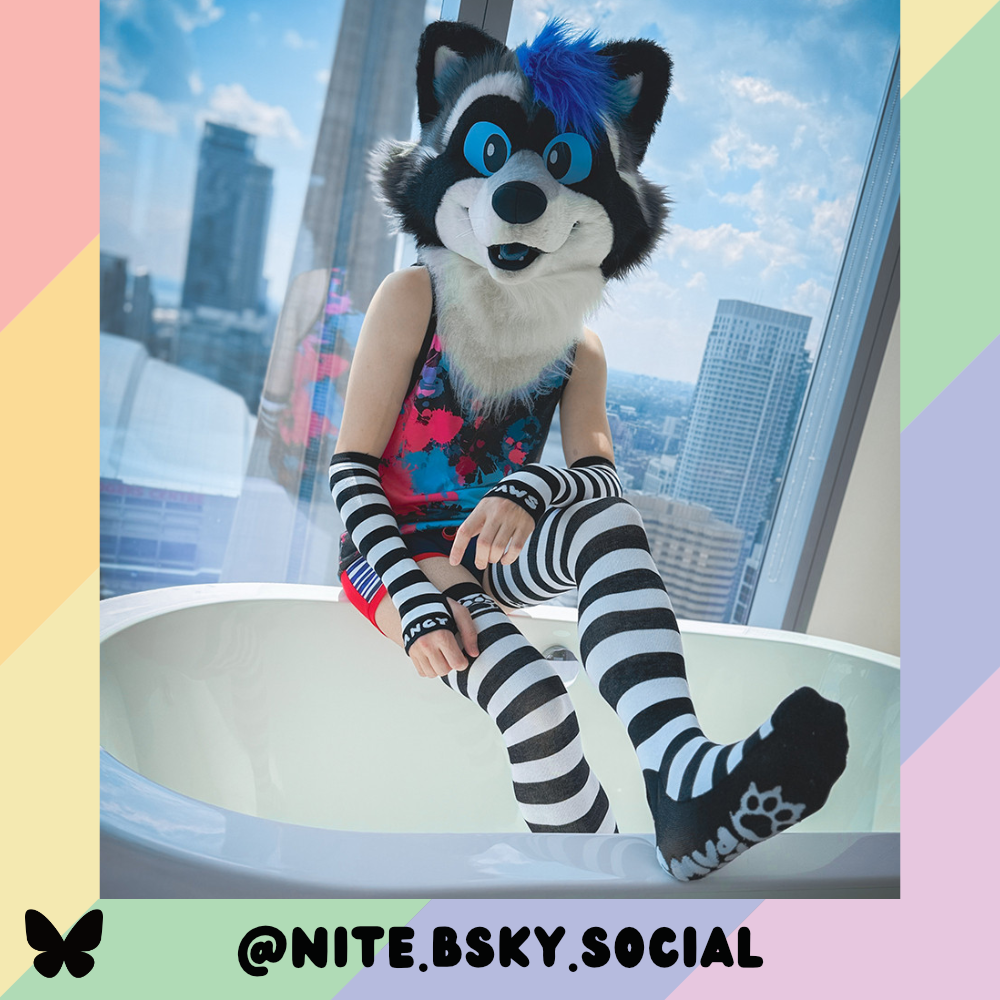 Black vs White Slim Thigh High Sockies