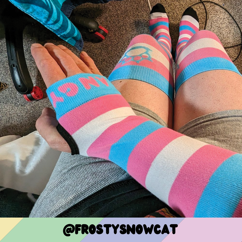 Trans Pride Sockies