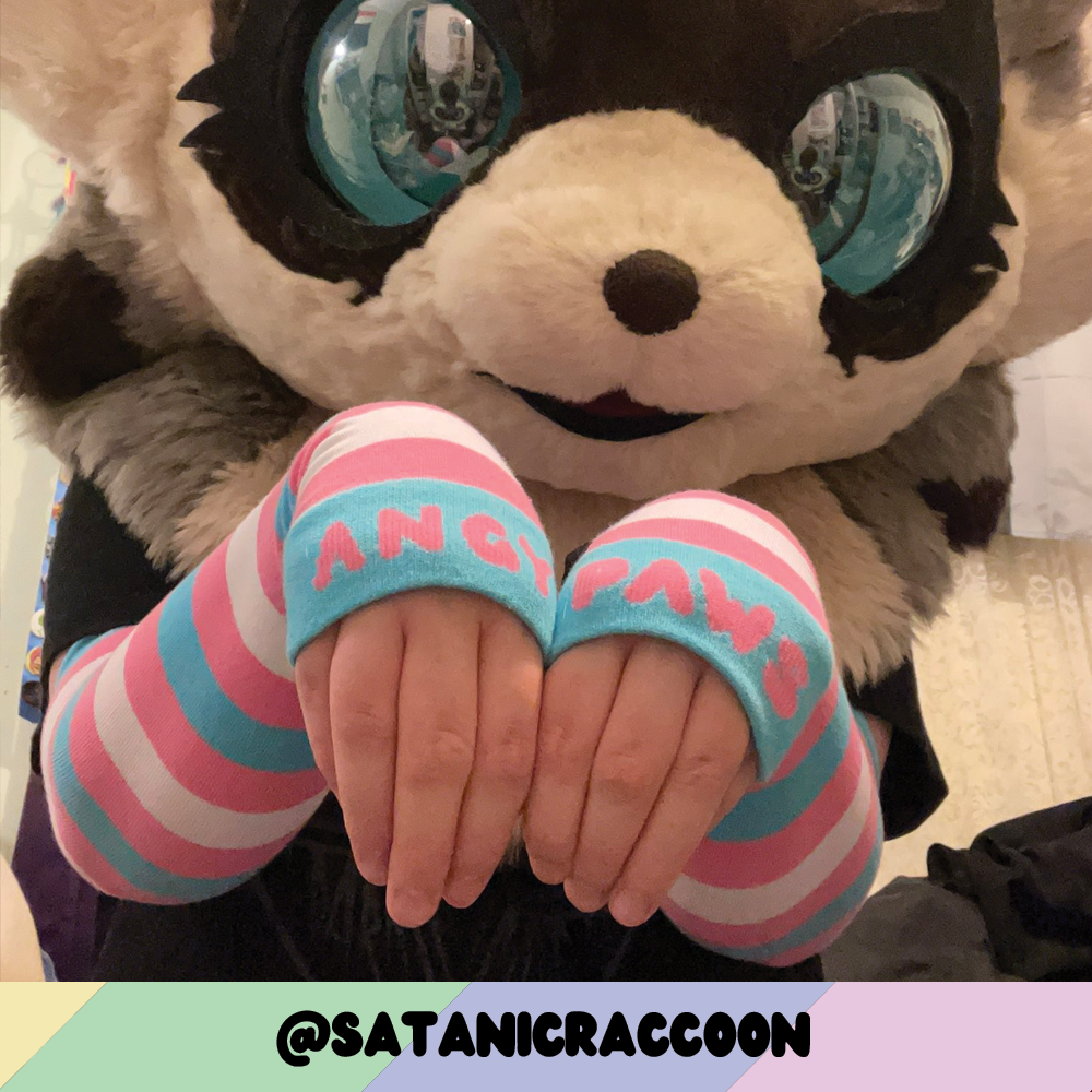 Trans Pride Arm Warmers