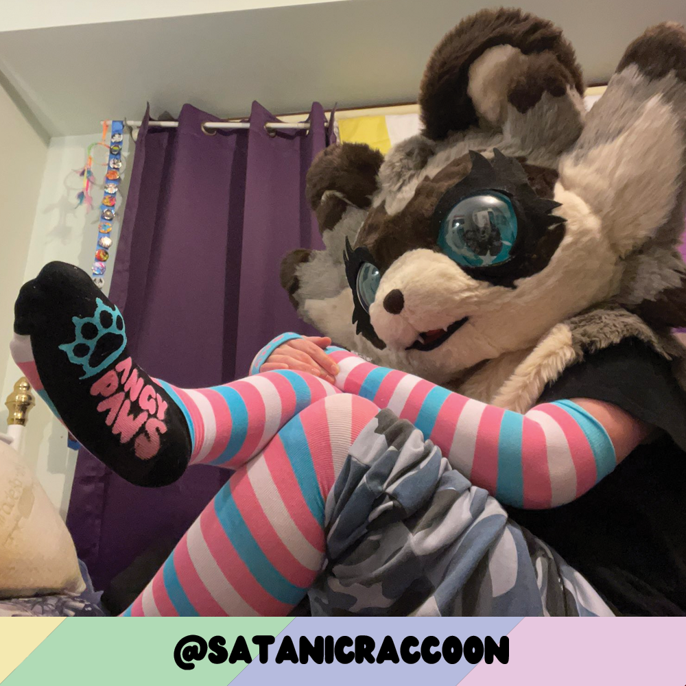 Trans Pride Sockies