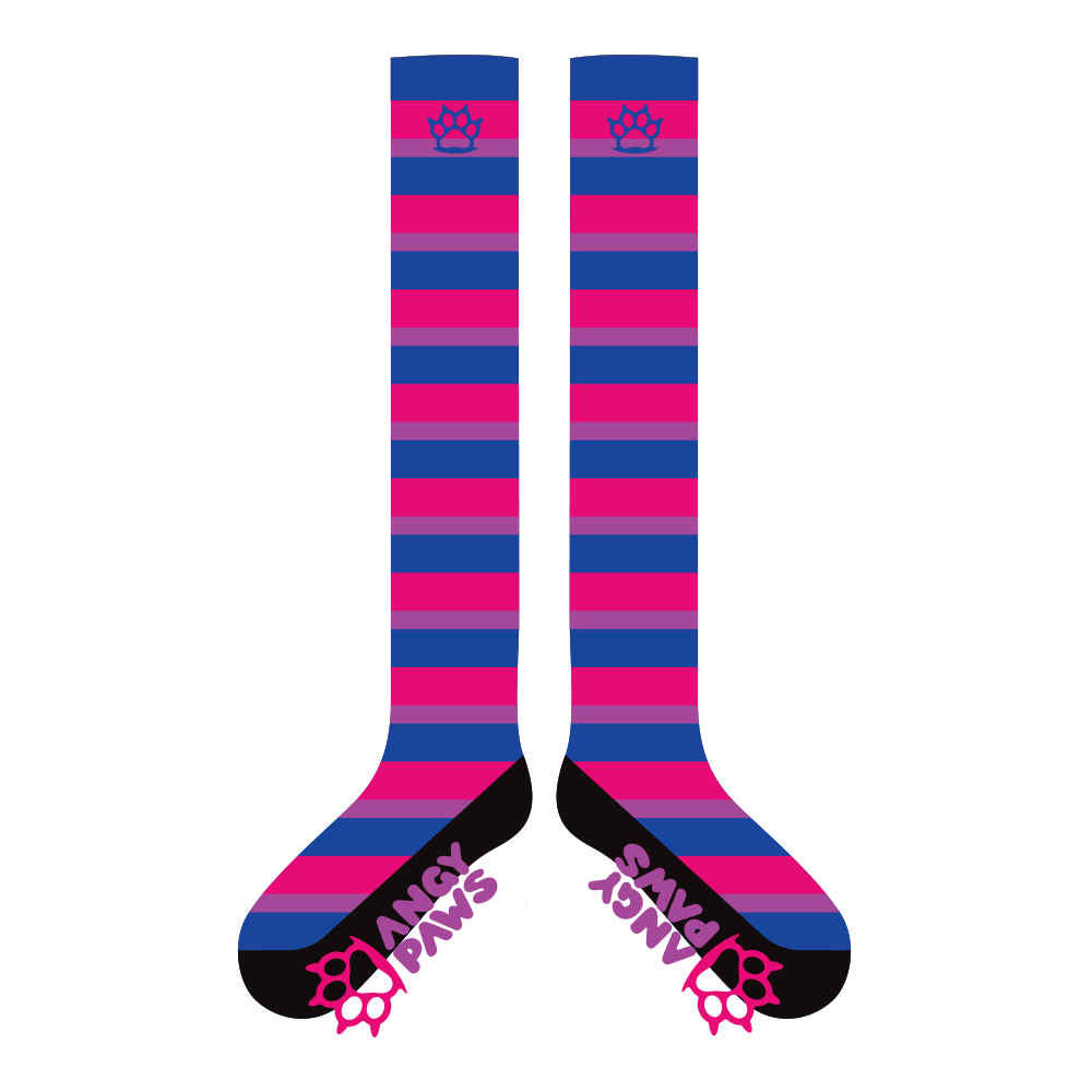 Bi Pride Sockies