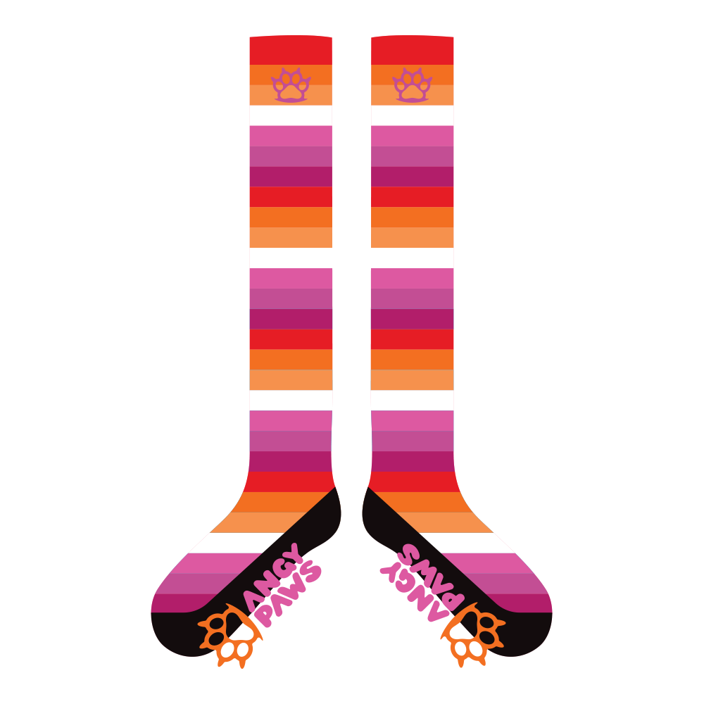 Lesbian Pride Sockies