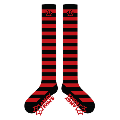 Blood vs Black Sockies