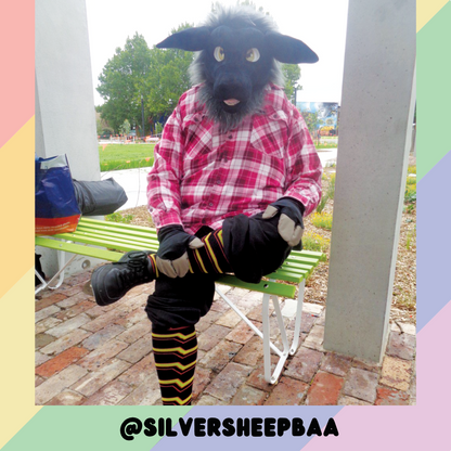 Rubber Pride Sockies