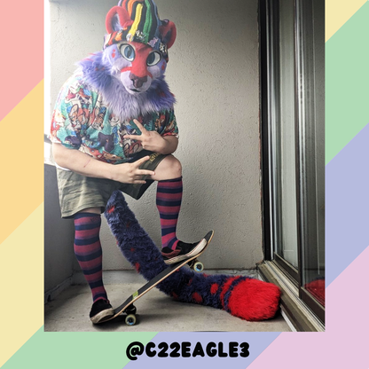 Bi Pride Sockies