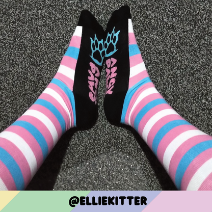 Trans Pride Sockies